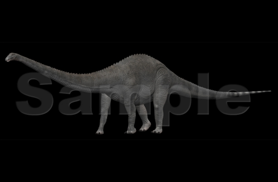 Diplodocus.jpg